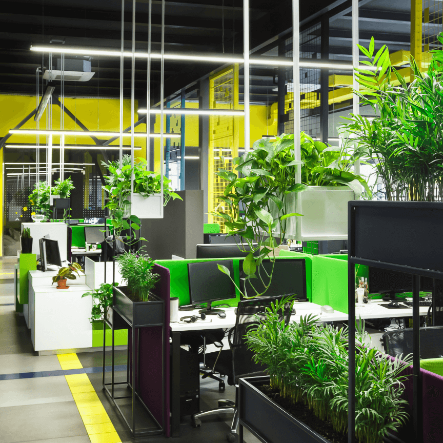 オフィス、休憩スペースが快適なグリーン空間に生まれ変わります。